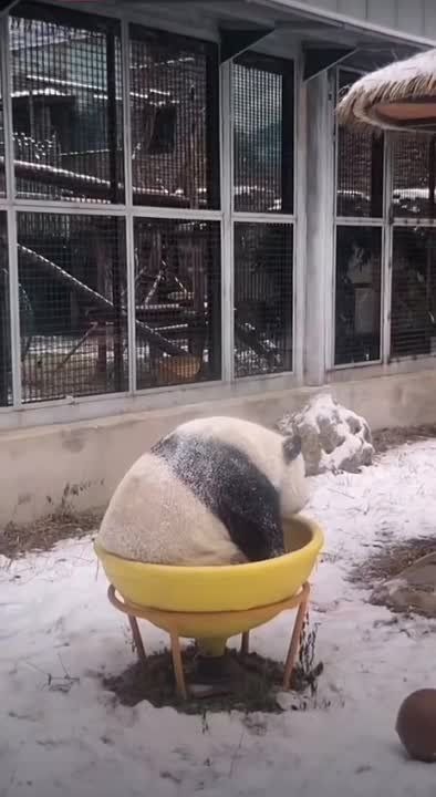 ������� ��� ������.... ��������� �����������, � ���������� ��� ���� � ����������