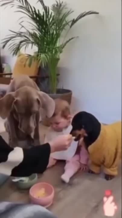 �� "����������" �������� �� ���, �� ������� ���� ������ �������!