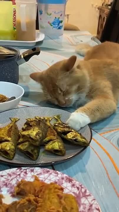 ����������� ����������� �������� ���������� �����������: ���� ��� �� ����, �� ��������� ����������� ������ �� ����� ��� ���� ����