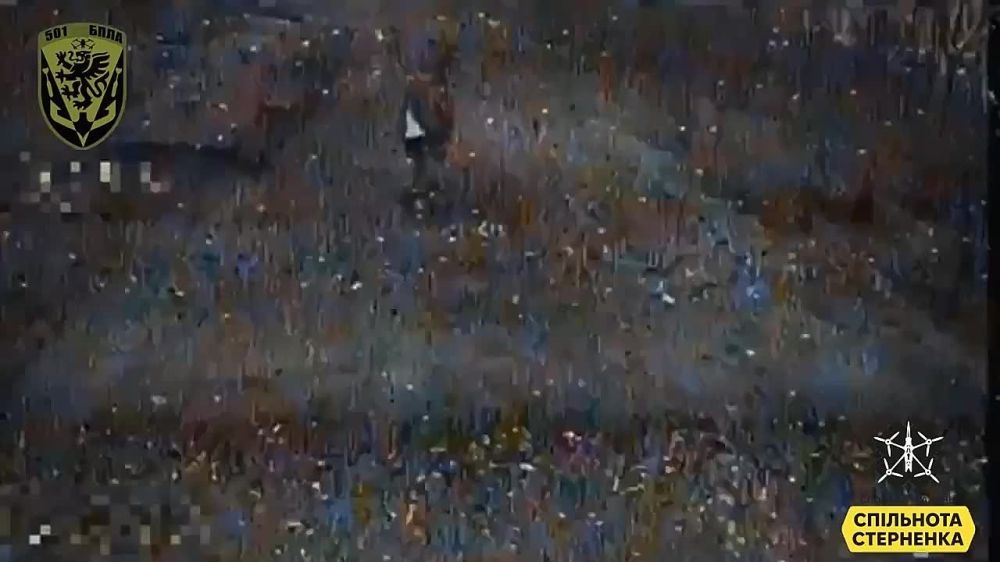 ��� ������: ���������� �����������. ��� �����. �� ����