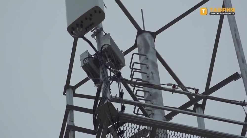 ��������� ����� � ���������� ������� �������� � ������� ������, ������ ������ �������