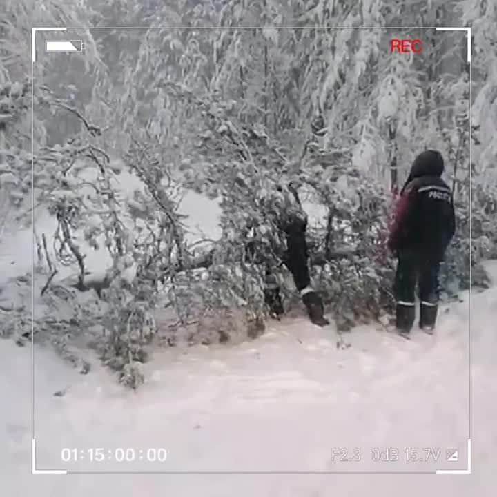 � ���� �������������� ��������������� � ���� �������� ������