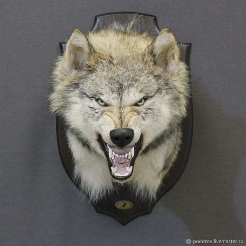 ���� ����� ��� ������, �� ����� �������� � ��� �������