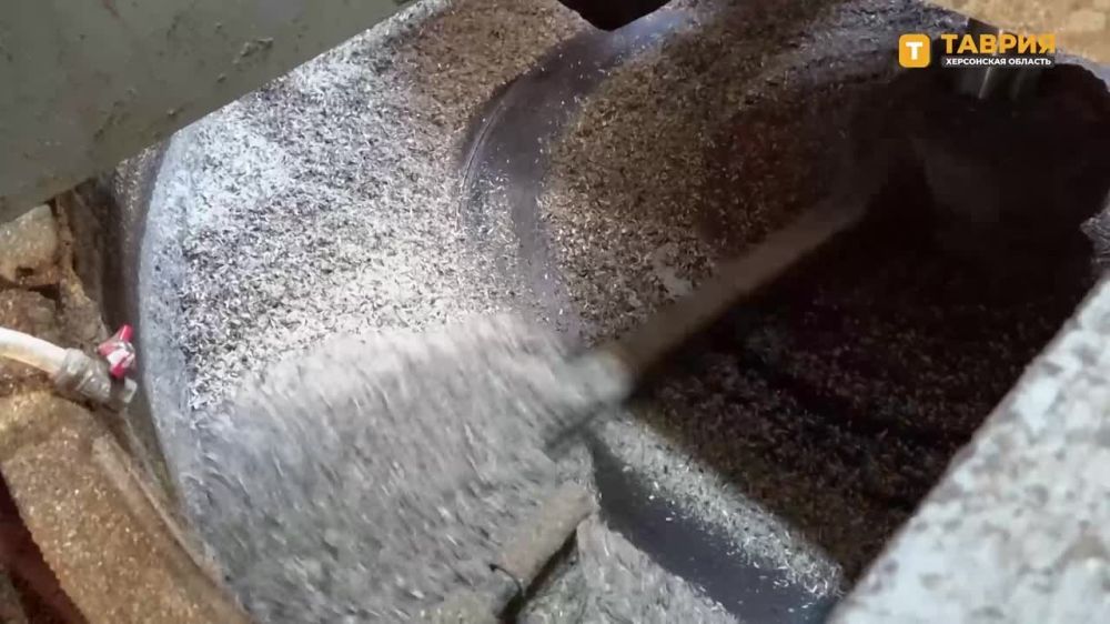 � ���������������� ������ ��������� ������ ��������������� ������