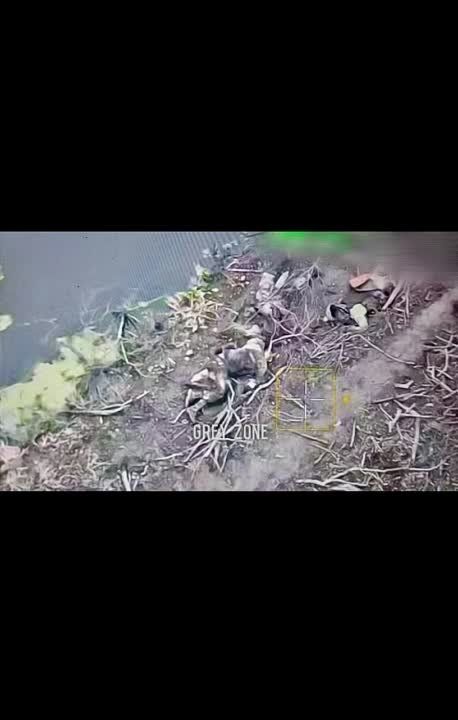 ��������� ���� �������� ��� � ������ �� ����� ������ ������ � ���������� �������