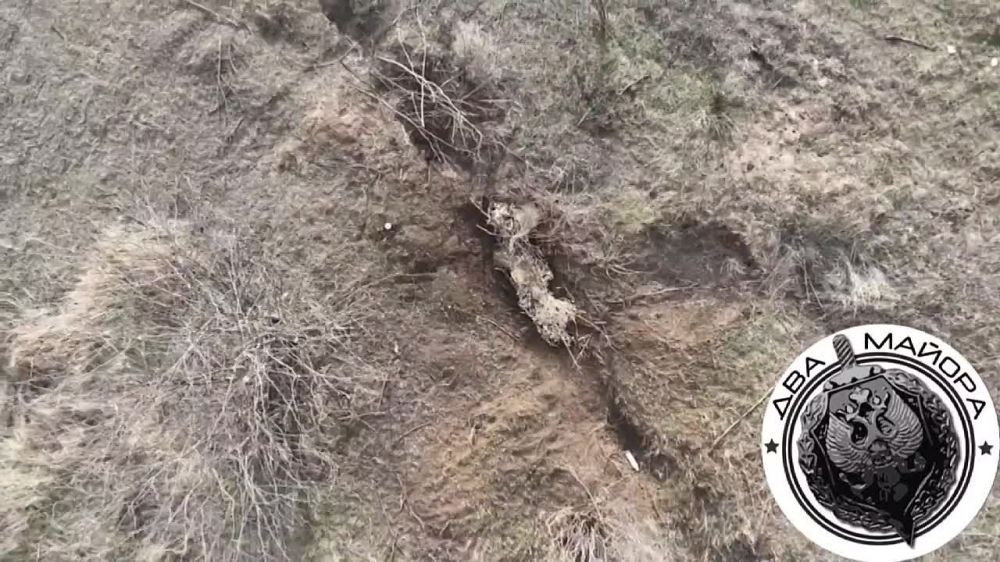 ��� ������: ���������� �����������, �������� �� ��������� �� ������