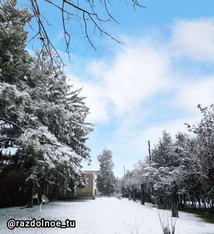 � ����������, ������ �����! ����� ������� ���, ����������, �������� ��� ����� � �������