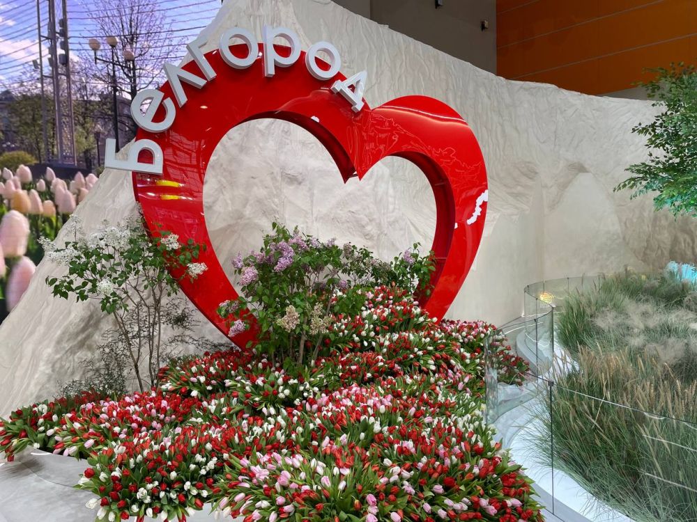 ��������� ���������: ����� ���� � ��������� � ������� ����� ����������� �������� �� ��� ������������ ������� �� ��������-������ �������� �� ����