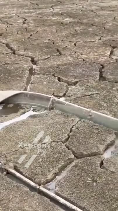 ��� ������ �������� ��������� �������������