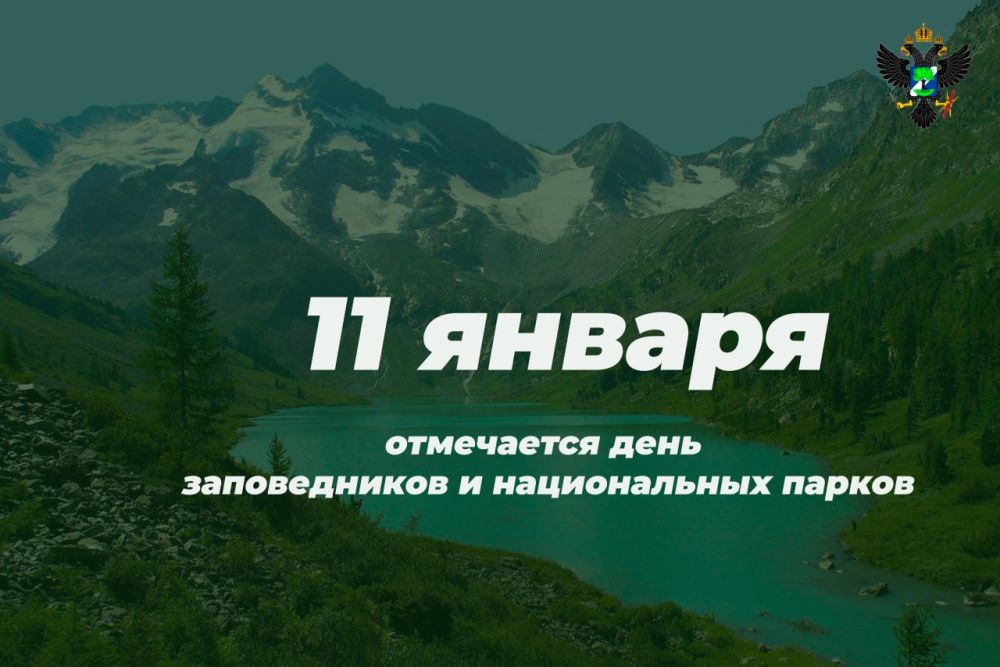 ���� ������������ � ������������ ������