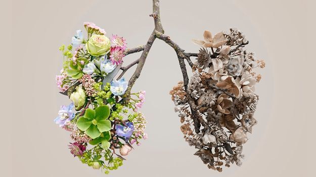 11 ������ � ���� ��������� ������� ��� ������ ��������