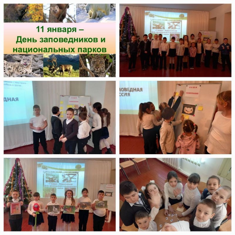 ����������� "����������� �������" ������ � ������ ����������