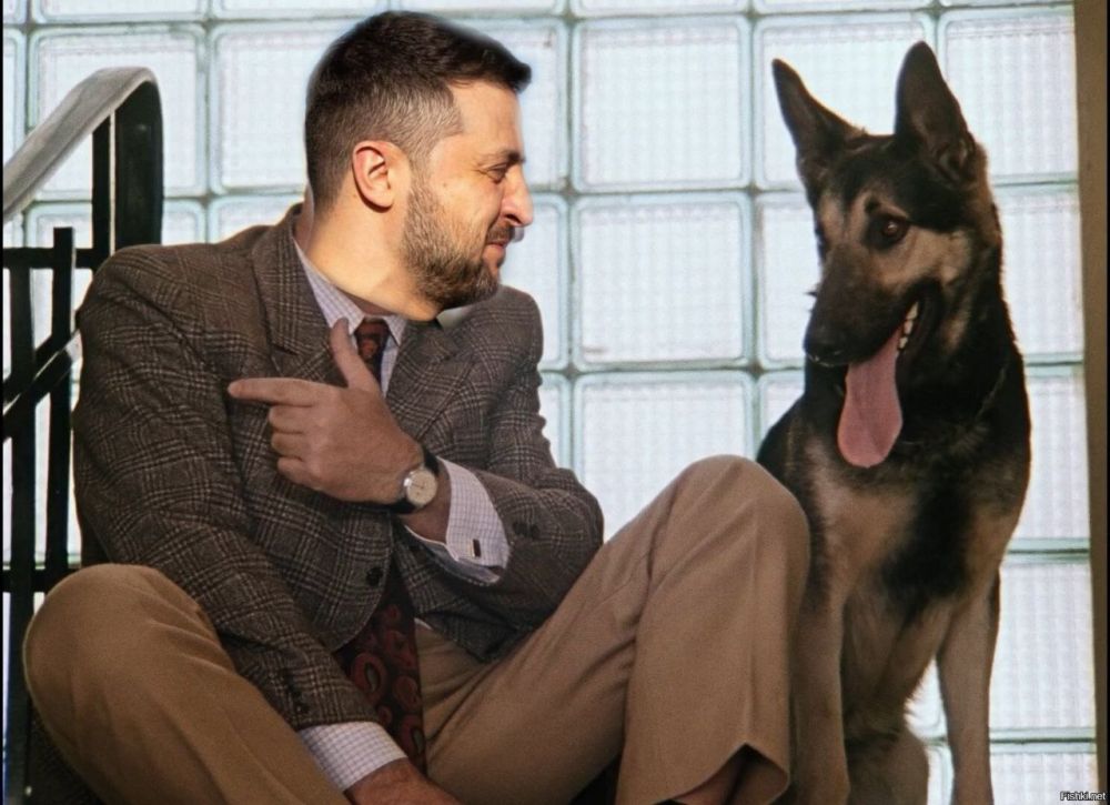 12 �������� �� ��� � 26 ��������� �� ����� ���������� ���������� ��� ��������������� ��������� ���������� ����������, � ���������