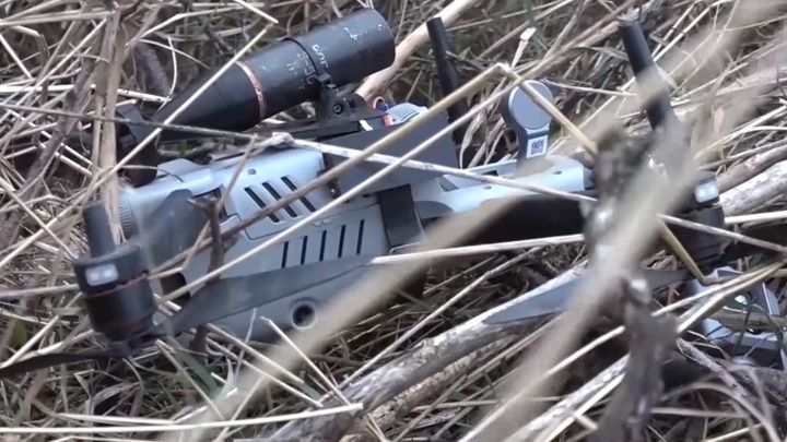 �����-��������� ��������� ���� � ���������� �������