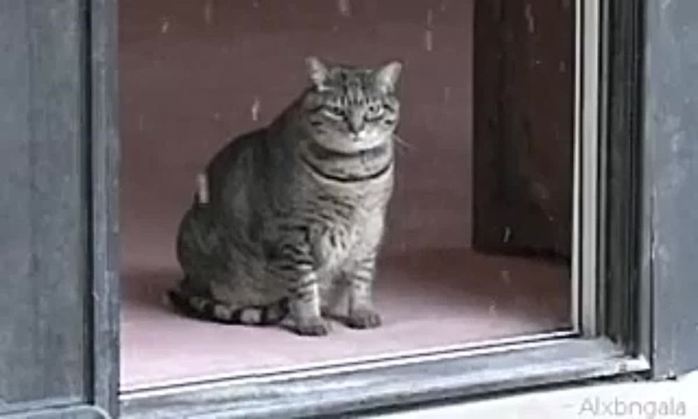 ��������� �������������� � ��������� ����������������� �������