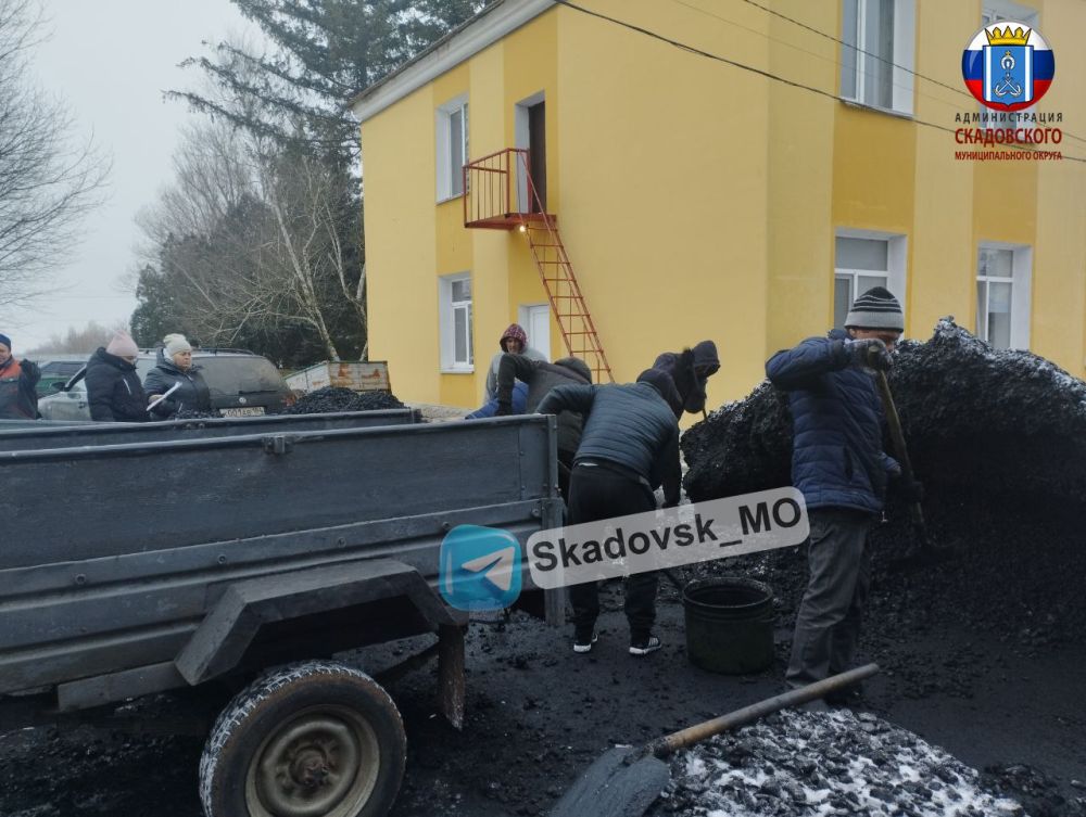 ������ �� �. �. ����������� �������� ���������� �����