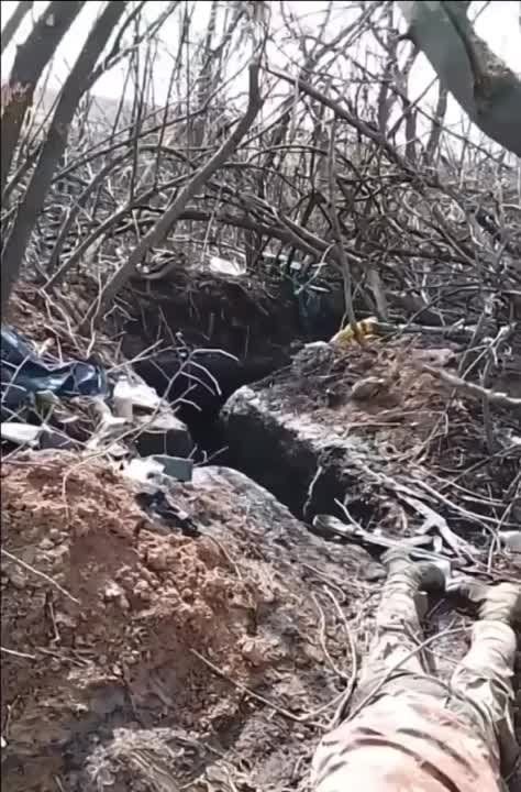 ��� 200. �������� ����� ���������� �������