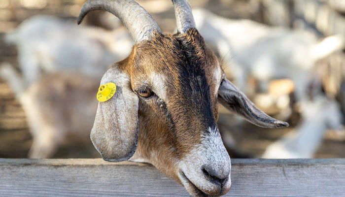 ���������� �������. ���� �������� ���������� ���� � ������ ���������� ��������� ������������� ���� ������ ����������� ��...