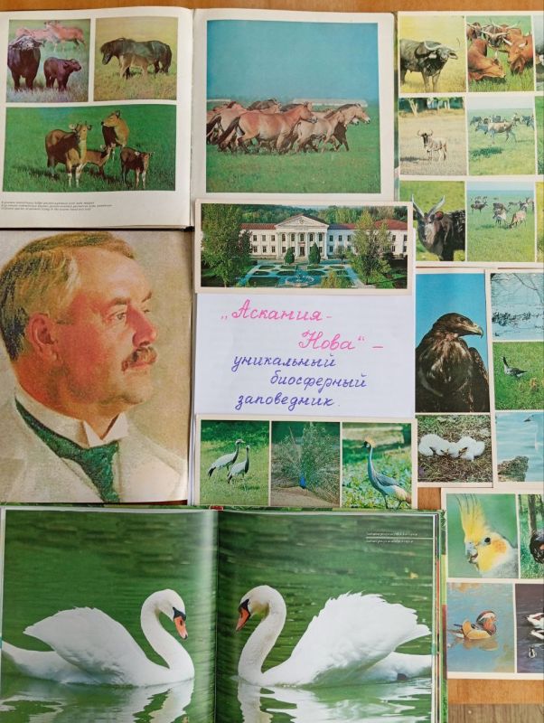 �������� �������: ����������� � ��� ������������ � ������!