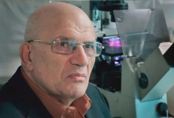 ���� ��������� ������� �������� V� ����� ����������