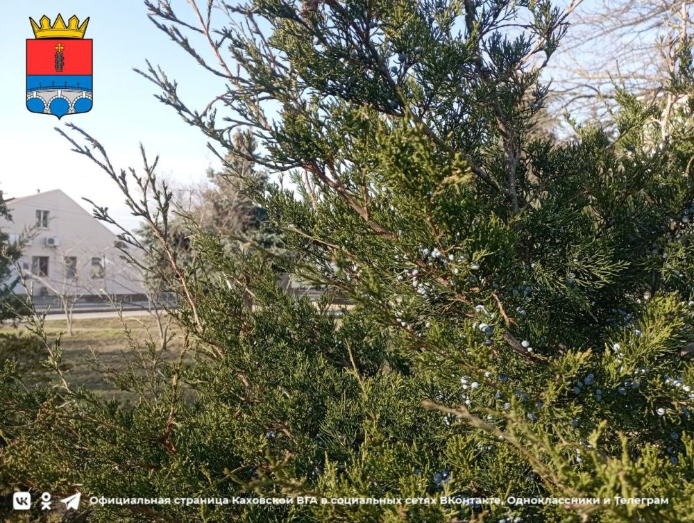 ������ ����, �������!. @VGA_Kakhovka