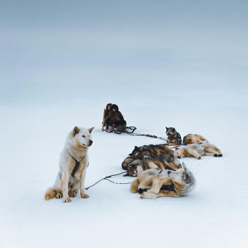 �������� ����� � ����� ������� ������ ����� ������