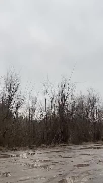 ��������� ������������ Desertcross 1000-3 ������ �� ����� ����� �� ���� ���� ����������� "������", ���������� �����������