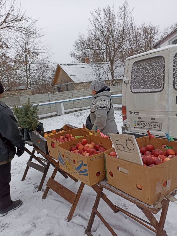 � �������� ������ �������