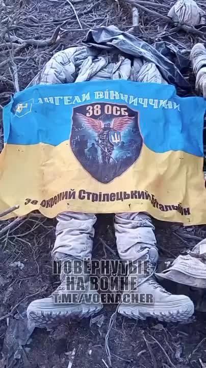 �����-��������� 20-�� ����� � ����������� ����� ������������ ��� ����� � ���� �����, �� � �� ������ �� ���������� �� ���������� � ���� �������������� 38���