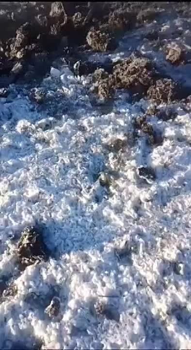 ������ ����������� ������ �������������� ���� �������� � ������� "������"