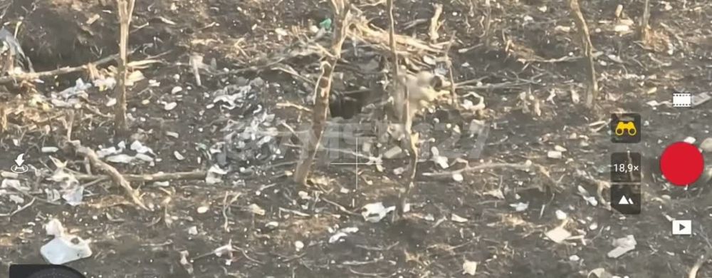 �������� FPV-����� 127 �������������� ������� �������� � ������� �������� ��� ��������������