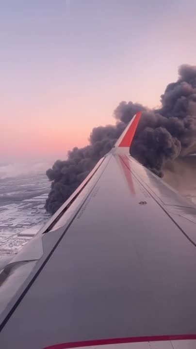 ����� ������ ������ Wildberries ��� ������� � �������