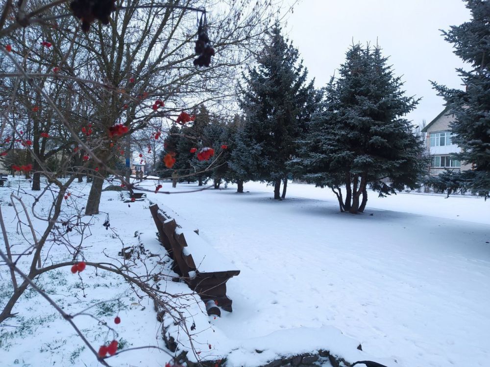 ������ ����������: ������� ������ ������� ������