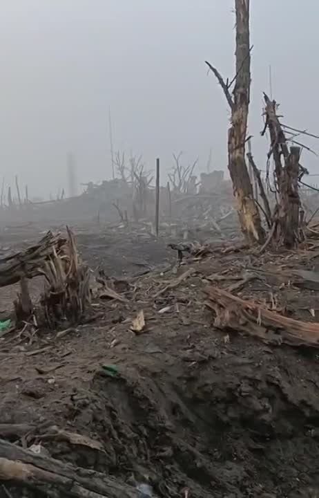 � ����� ������� � ����������� ����������� ����� ���� ����� ��������� ��� �������� ��� � ���� ������, ������� ���� �������� ��� ���������� ������������ � ���� ��������� ������� �������������� ����� � ������� � �������