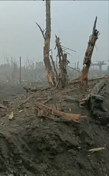 ��� ������ �������� ������