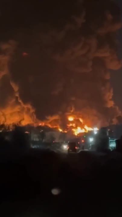 ��������� �������� Wildberries