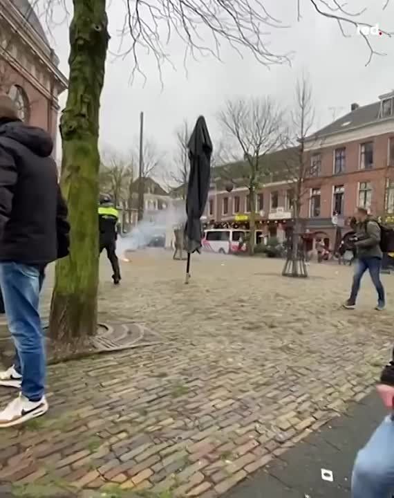 ������������ ������ ����������� ��������� ��������, ������� ��������� ����������