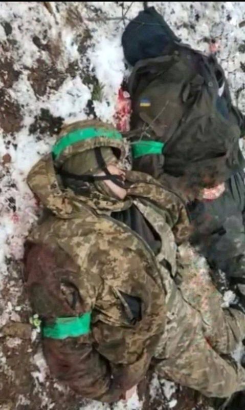 � ������ �.�. ������ ���������� � ������ ���� ���������� ������� ���������� ���� �������