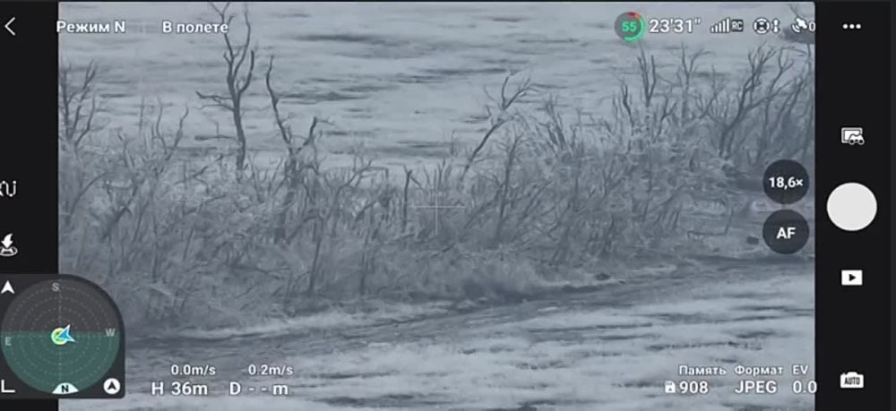 �������� ������������ ���������� ������� �� ����������� �����������