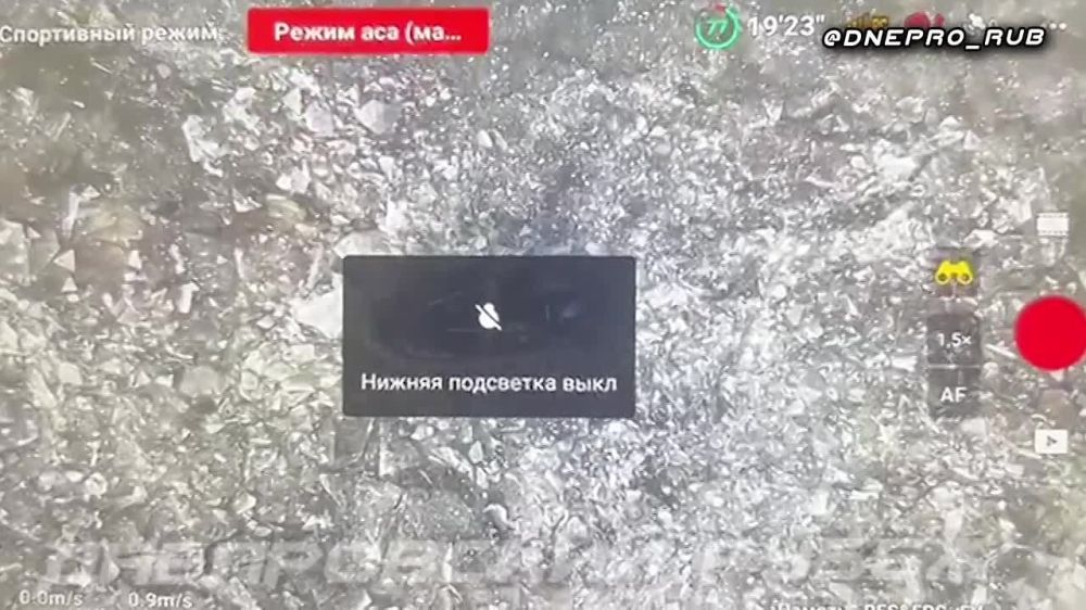 ����������� ����� "�����". ���������� �����������