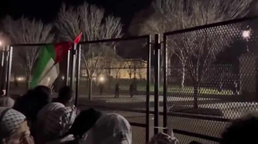 ����������� ������ ���� ������������ ����� ������ ��������������� ���������, ������� ���������� �����, �������� Fox News