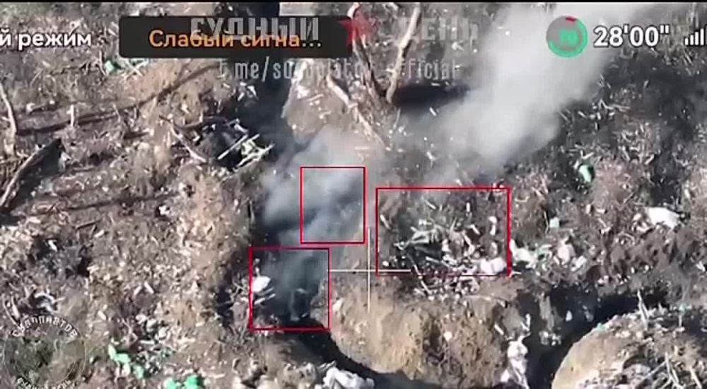 ������� FPV-������ �� ����������