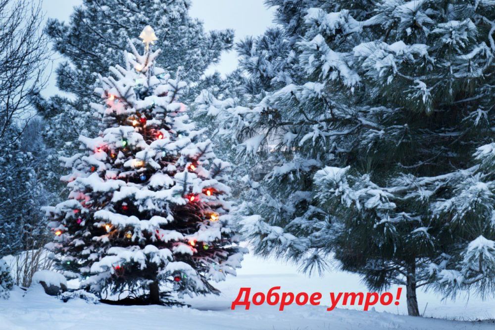 ������ ����� ��� � ���, ����� ����������� ����