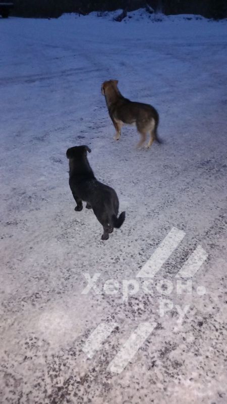 ������ ��������� ����� � ������ ����� ������ � ������ ������� � ����� ������ ���� � �����