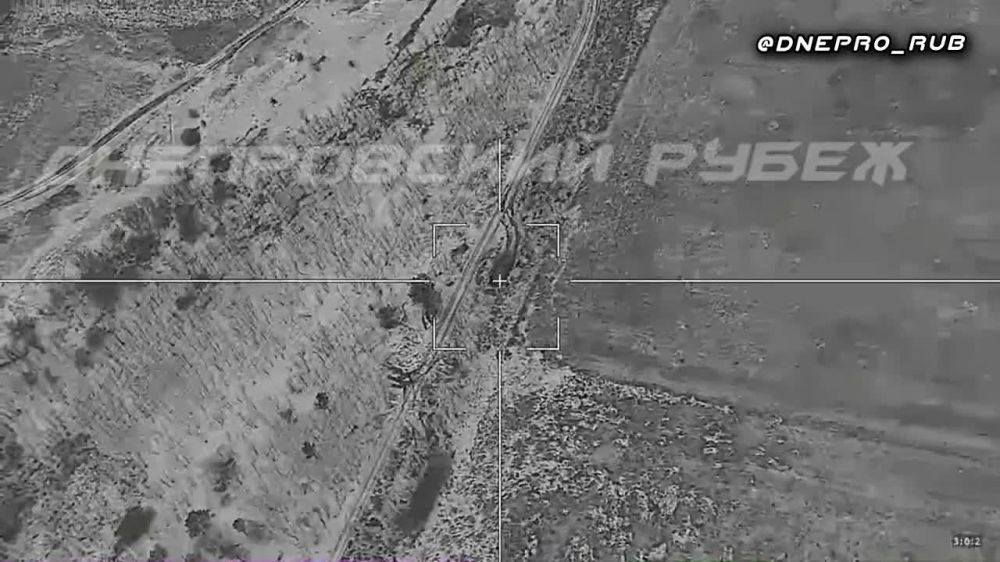 ����������� ����� "�����". ���������� �����������