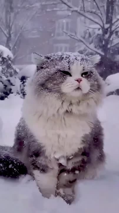 � ������ �����, �����������!