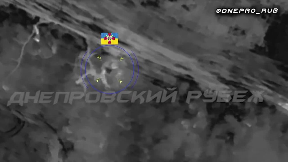 ����������� ����� "�����". ���������� �����������