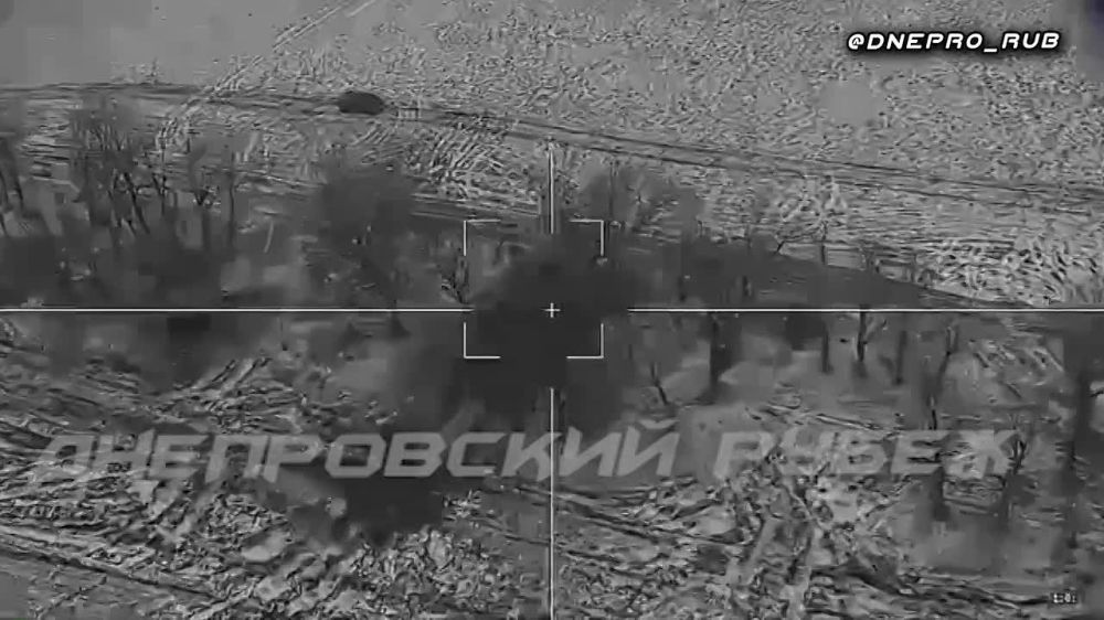 ����� �����: ����������� ����� "�����". ���������� �����������