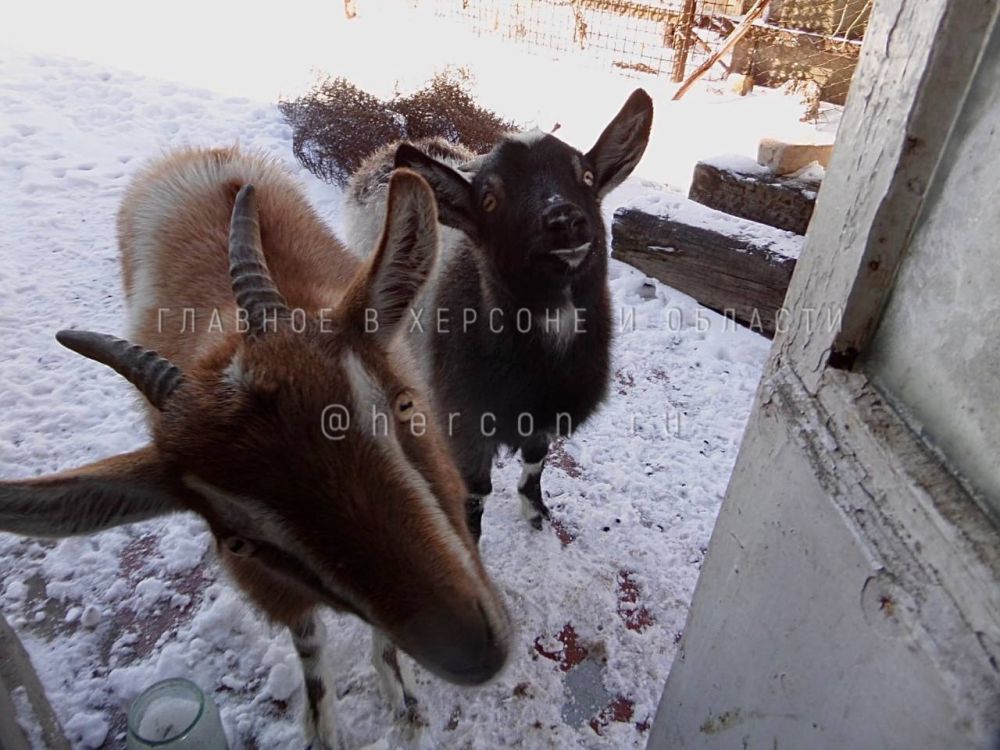 ������� �������� � ������� � ������� ��������� ����� ������� � �������� ��������