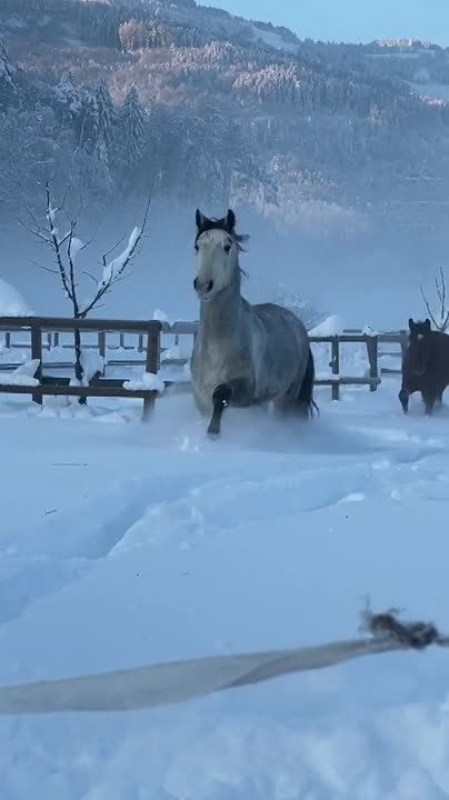 � ������ �����, �����������!